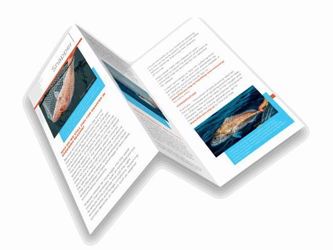 Odoo - Echantillon n°1 pour trois colonnes 